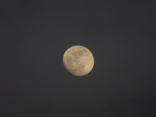 20190120-05.jpg